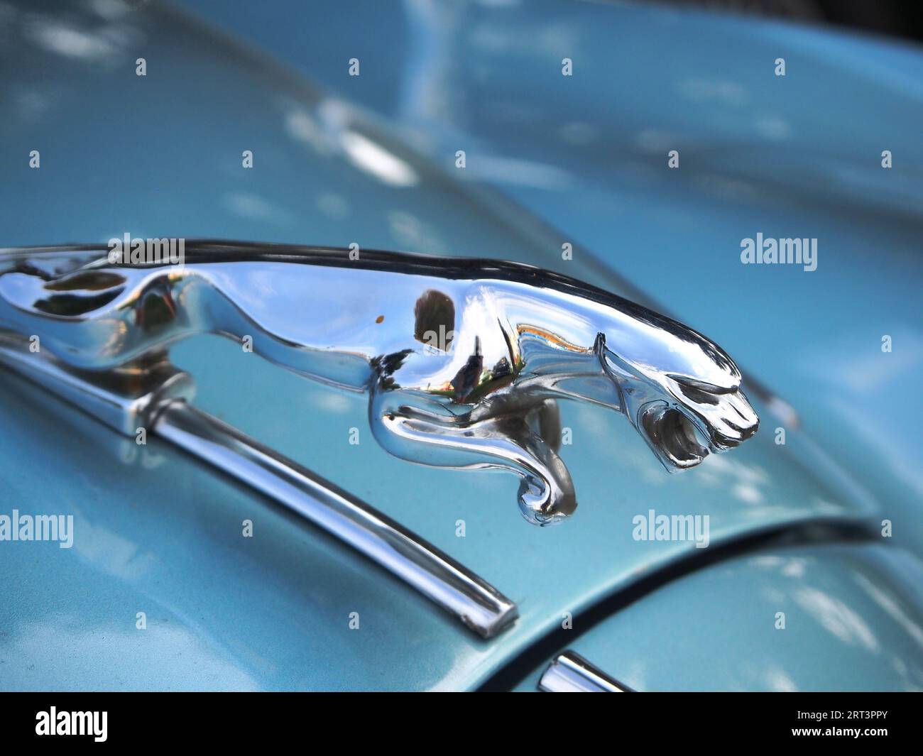 Primo piano di una Jaguar Mark 2 che mostra l'ornamento del cofano con il giaguaro Foto Stock