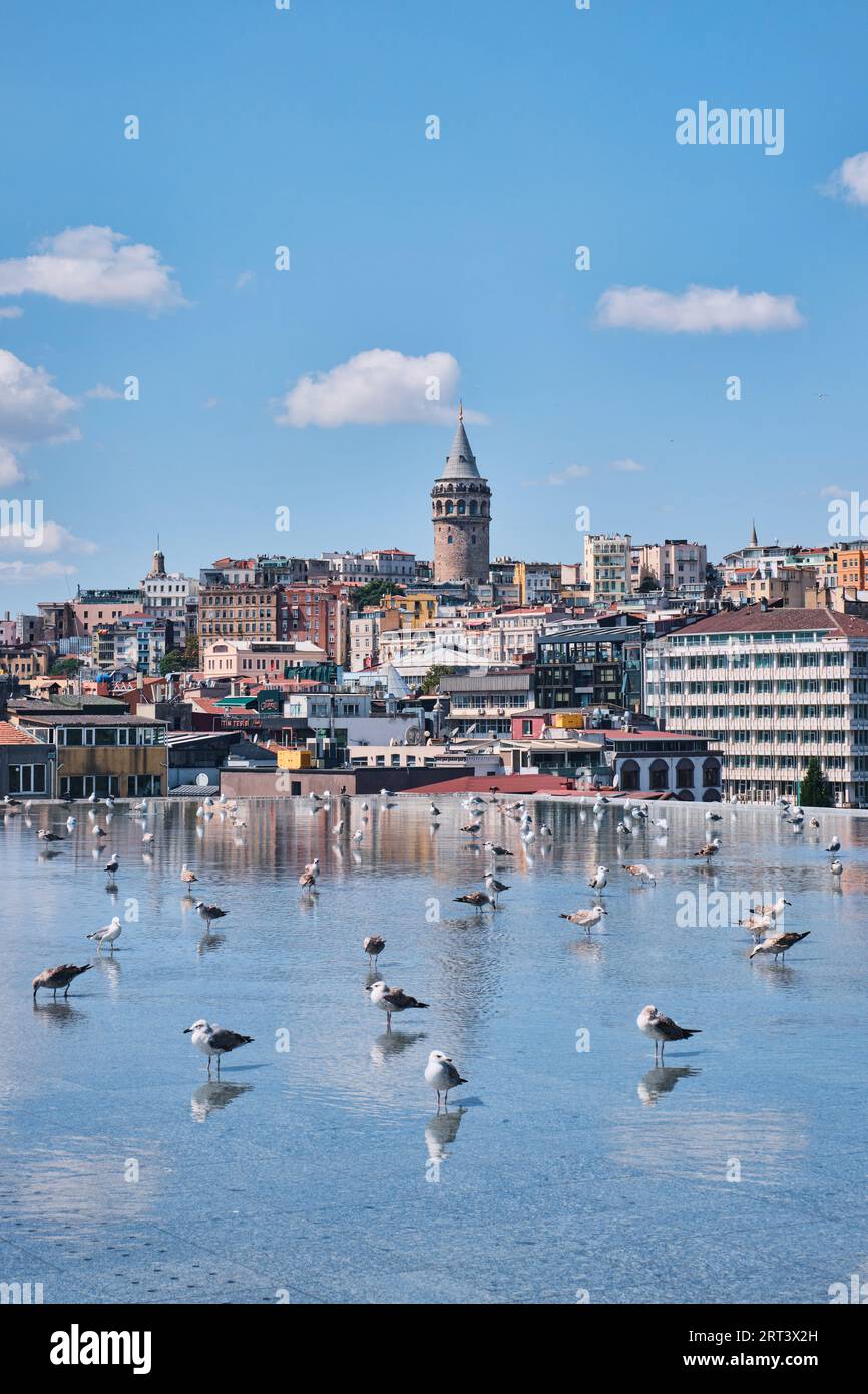Istanbul, Turchia - 10 settembre 2023: Vista di Galata dalla terrazza del Museo d'Arte moderna di Istanbul con gabbiani nella piscina di riflessione Foto Stock