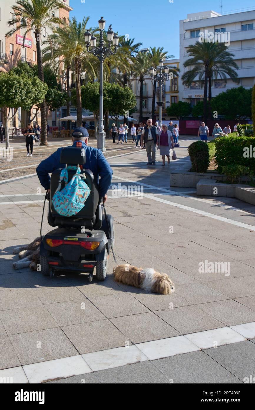 Jerez de la Frontera, Spagna - 6 settembre 2023: Cani rilassati attaccati al guinzaglio all'auto di una persona disabili per tenerli compagnia. Foto Stock