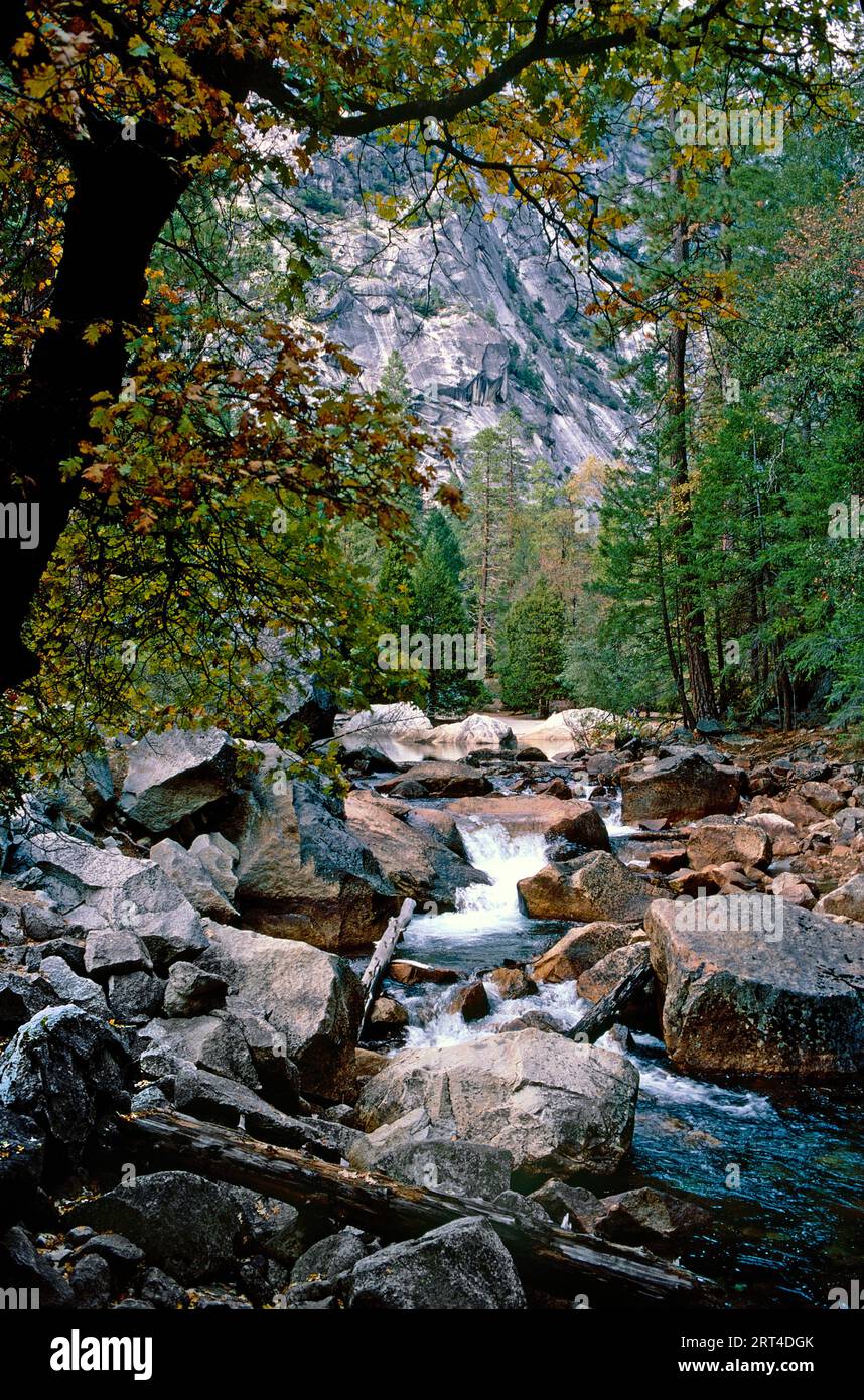 Tenaya Creek, Yosemite National Park, Yosemite Valley, California Foto Stock