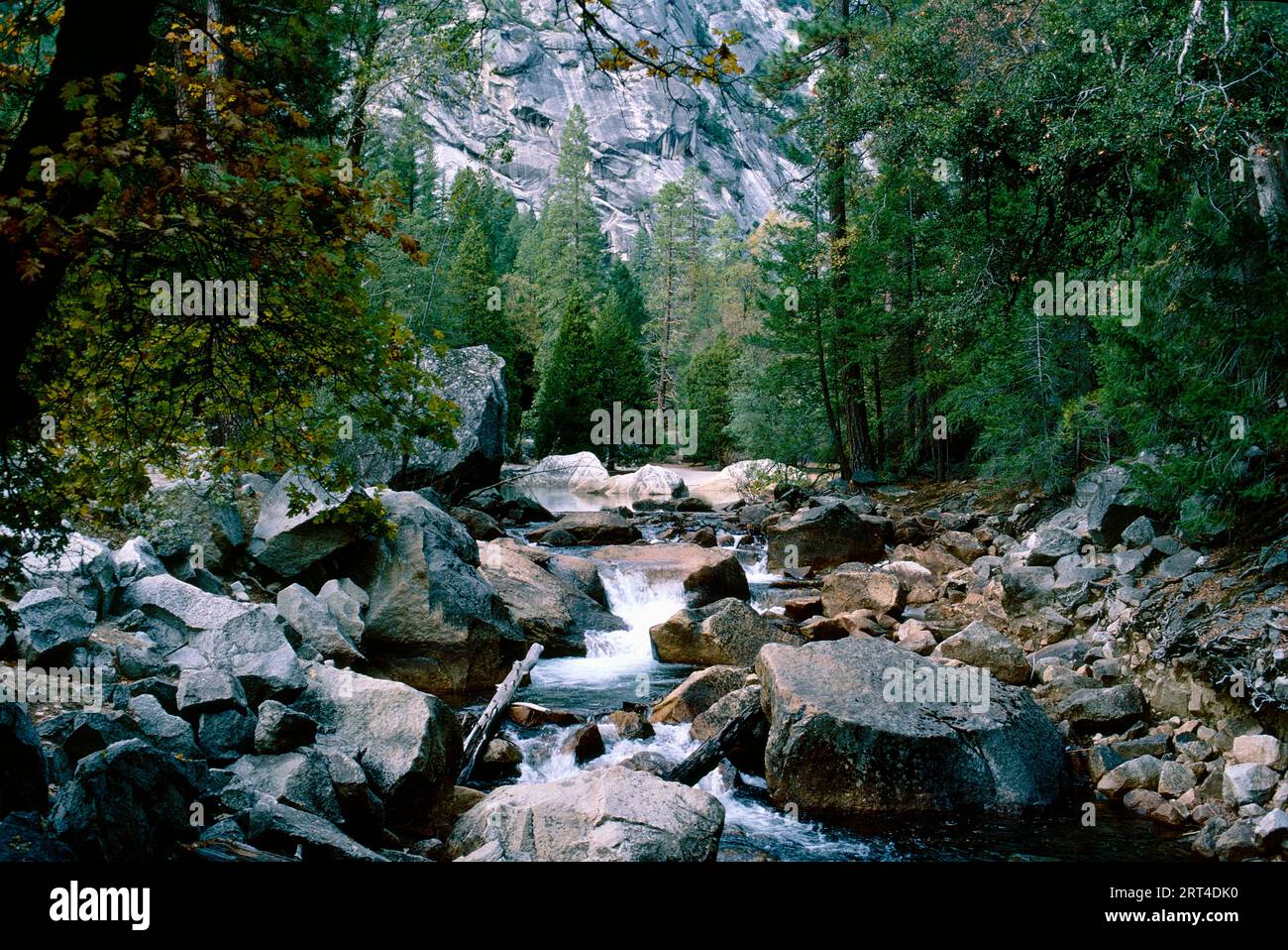 Tenaya Creek, Yosemite National Park, Yosemite Valley, California, USA Foto Stock
