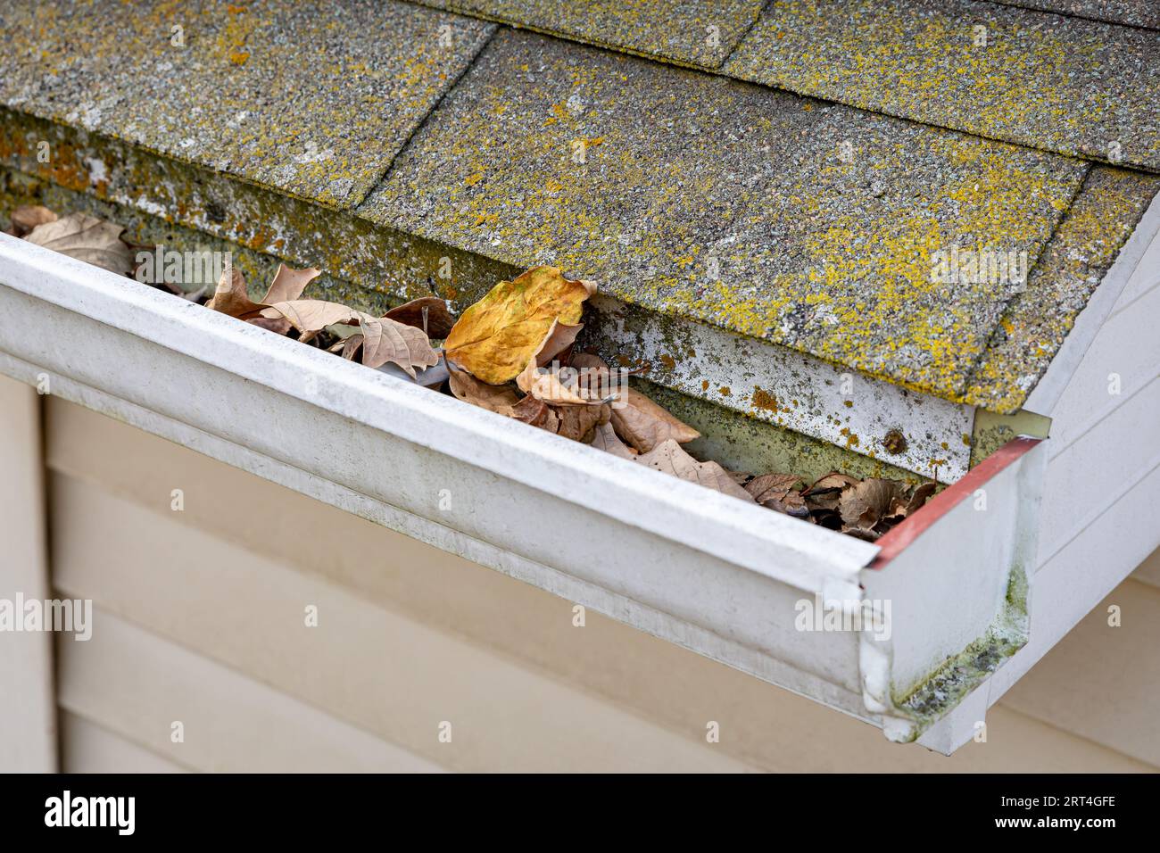 Grondaia del tetto con muffa e muffa e piena di foglie. Danni al tetto, manutenzione domestica e pulizia delle grondaie. Foto Stock