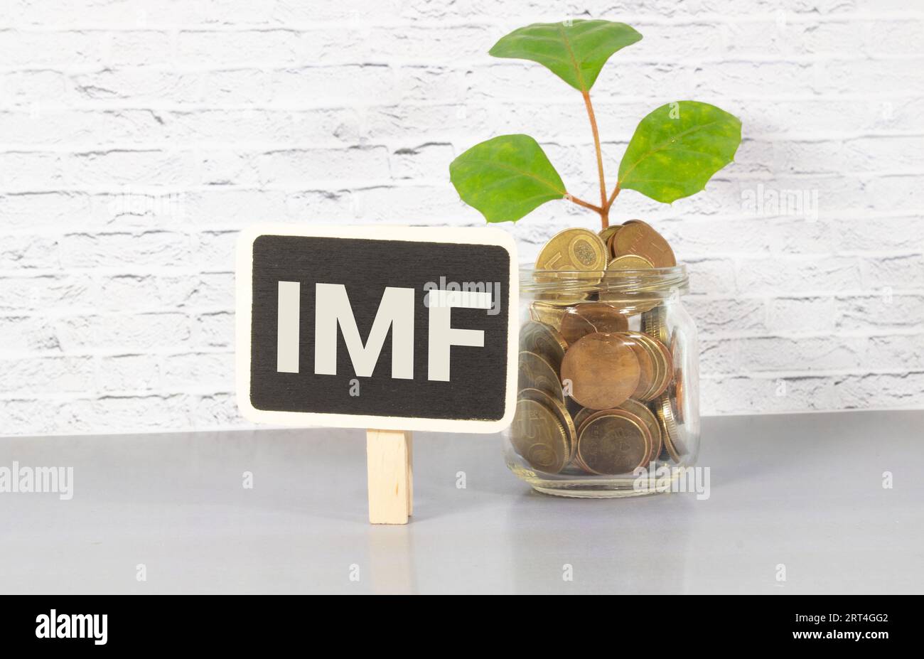 Concetto economico e finanziario - lettere del FMI su blocchi di legno. Foto stock. Foto Stock