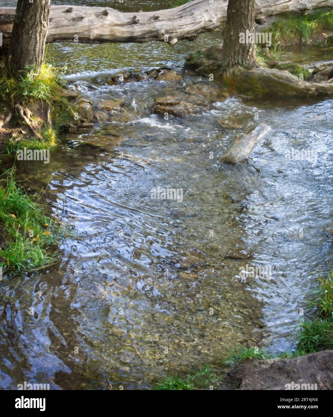 Parco provinciale di Big Hill Springs, Alberta Foto Stock