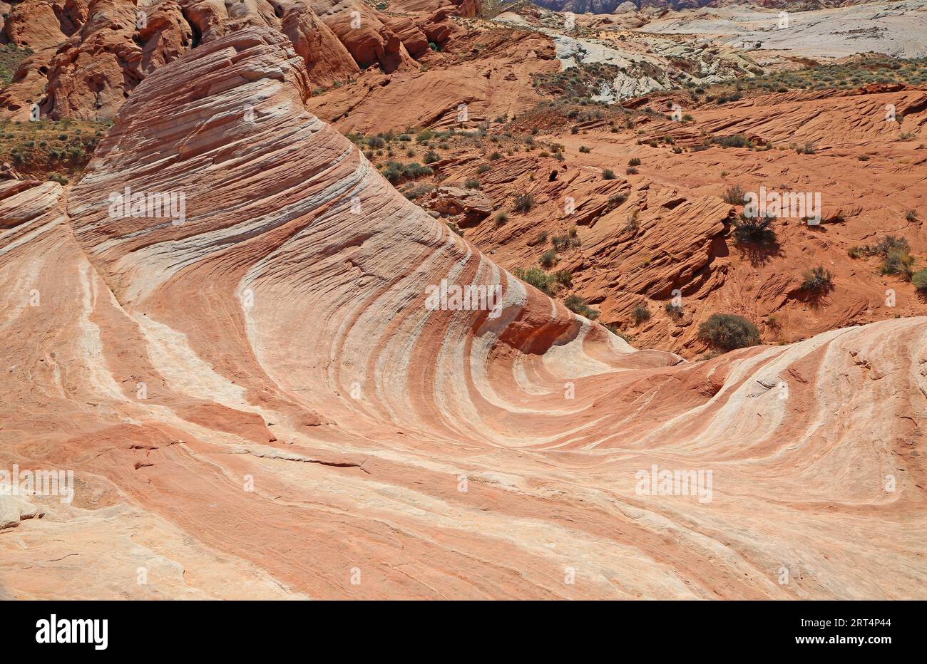 Fire Wave - Valley of Fire State Park, Nevada Foto Stock