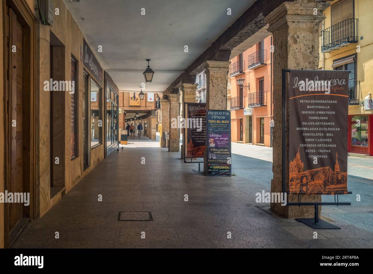 El Burgo de Osma-Ciudad de Osma, comune della provincia di Soria, comunità autonoma di Castilla y León, Spagna, Europa Foto Stock
