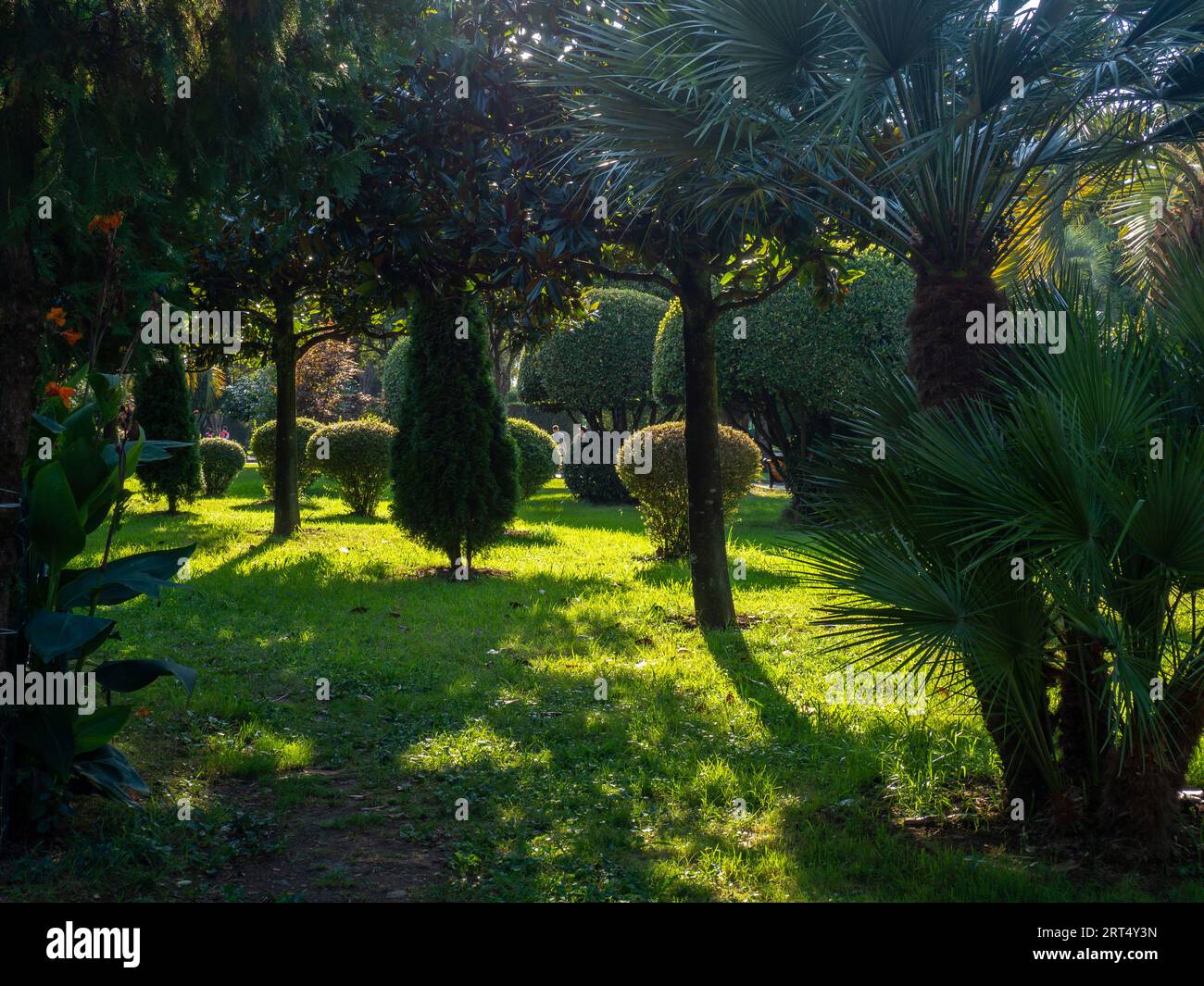 Atterraggio nel parco del resort. Bellissimo prato falciato nel parco. Luogo accogliente per rilassarsi in città. Vecchio viale. Spazio verde. natura Foto Stock