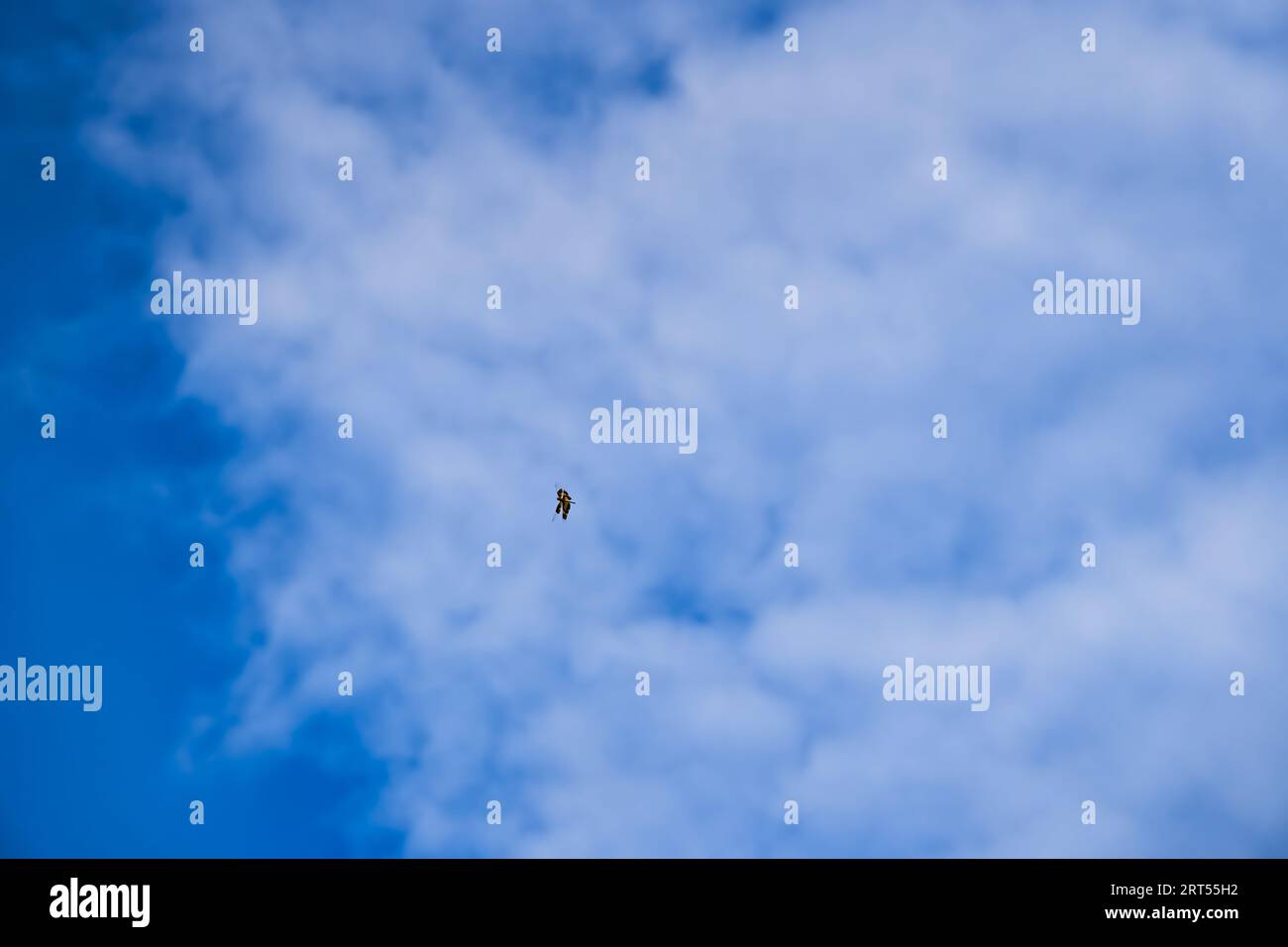 Estate blu cielo nuvola gradiente chiaro sfondo bianco. Bellezza limpido nuvoloso al sole calmo luminoso inverno bacground aria. Blu azzurro brillante e cupo i Foto Stock