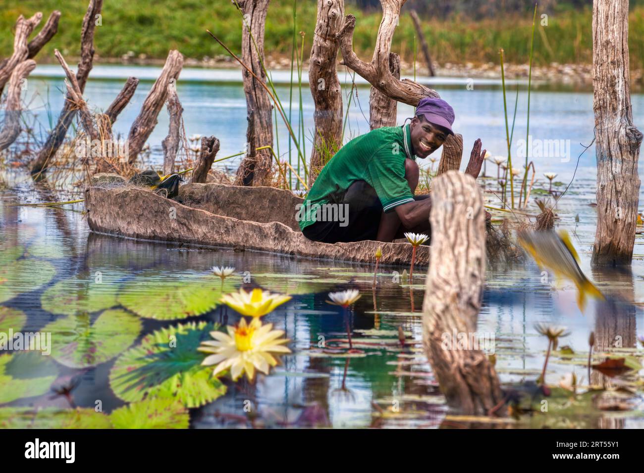 Botswana, Delta dell'Okavango, pescatore di mokoro, navigazione tra le ninfee, pesci che saltano fuori dall'acqua, vista panoramica della vita sui canali Foto Stock
