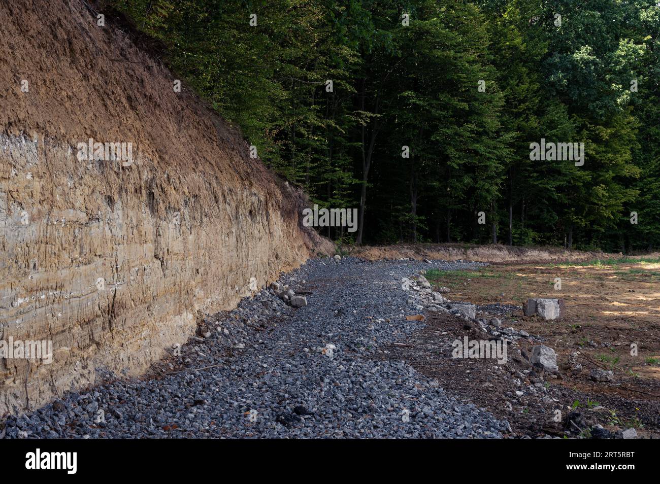 Strada in pietra grigia e parete di terra gialla in foresta con alberi verdi. Scenografico, sfondo, sfondo Foto Stock