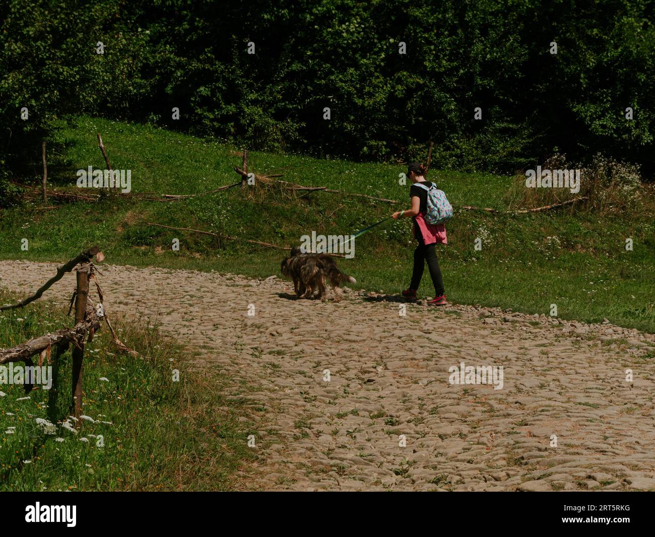 Viaggiatore escursionista donna millenaria con due cani zaino in cima ai Carpazi in Ucraina, Europa Girl zaino con spalla e amici domestici in terre panoramiche Foto Stock
