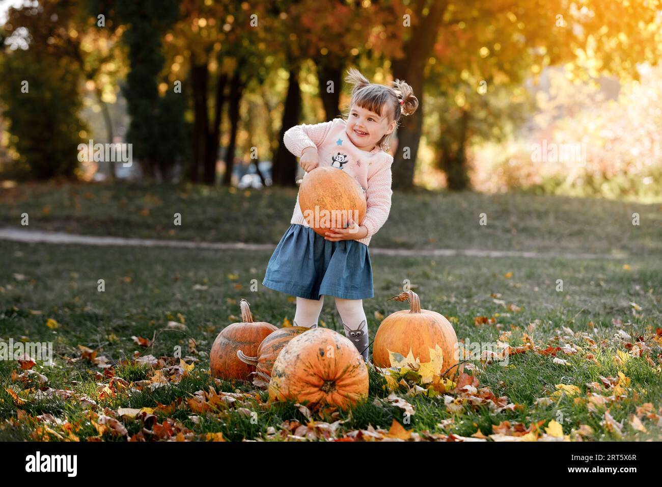 La bambina allegra solleva una zucca arancione molto grande per la decorazione di Halloween o del giorno del Ringraziamento all'aperto nelle calde giornate autunnali. Buon raccolto. Tempo di raccolta. Verdure di fattoria. Concetto di felice infanzia. Foto Stock