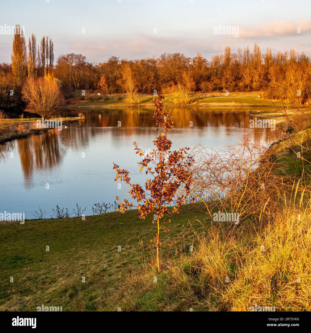 Foto di un bellissimo lago con alberi nel paesaggio Foto Stock