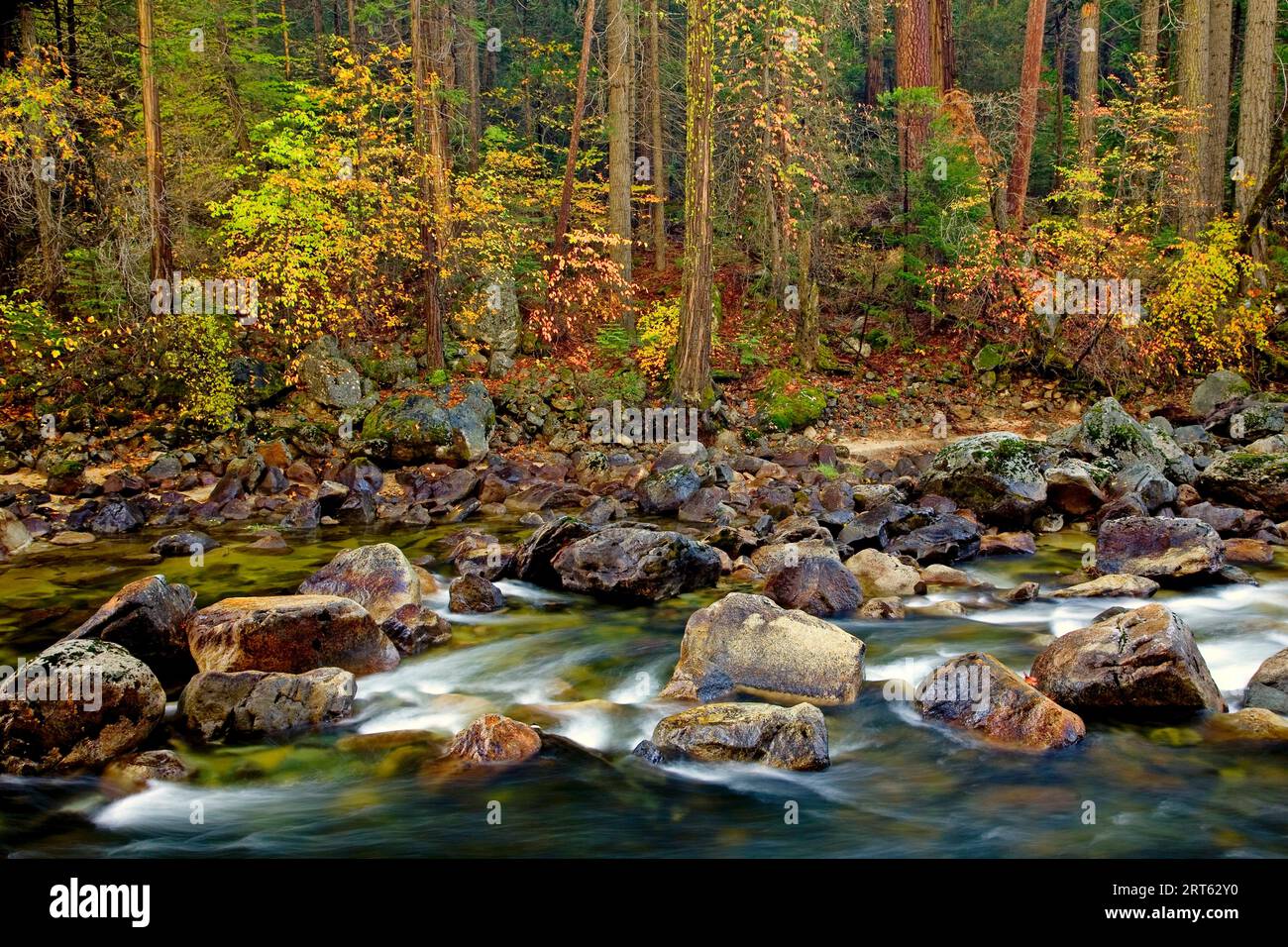 Il fogliame autunnale costeggia il fiume Merced nel parco nazionale di Yosemite, California, USA; autunno 2008 Foto Stock