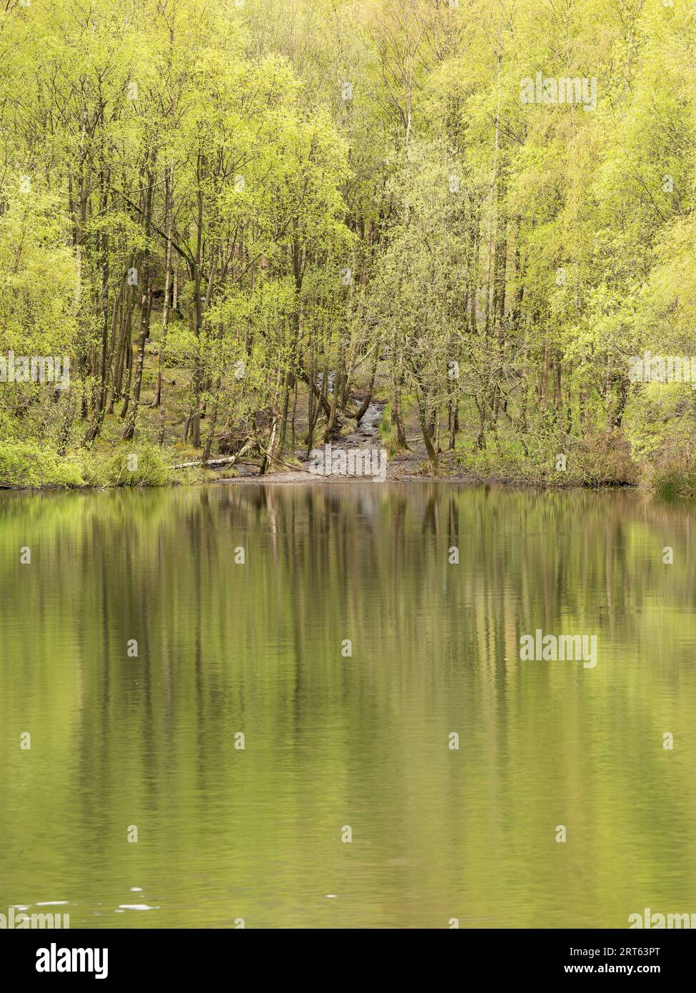 New Pool Hollow, Carding Mill Valley, Church Stretton, Shropshire, Inghilterra. Foto Stock