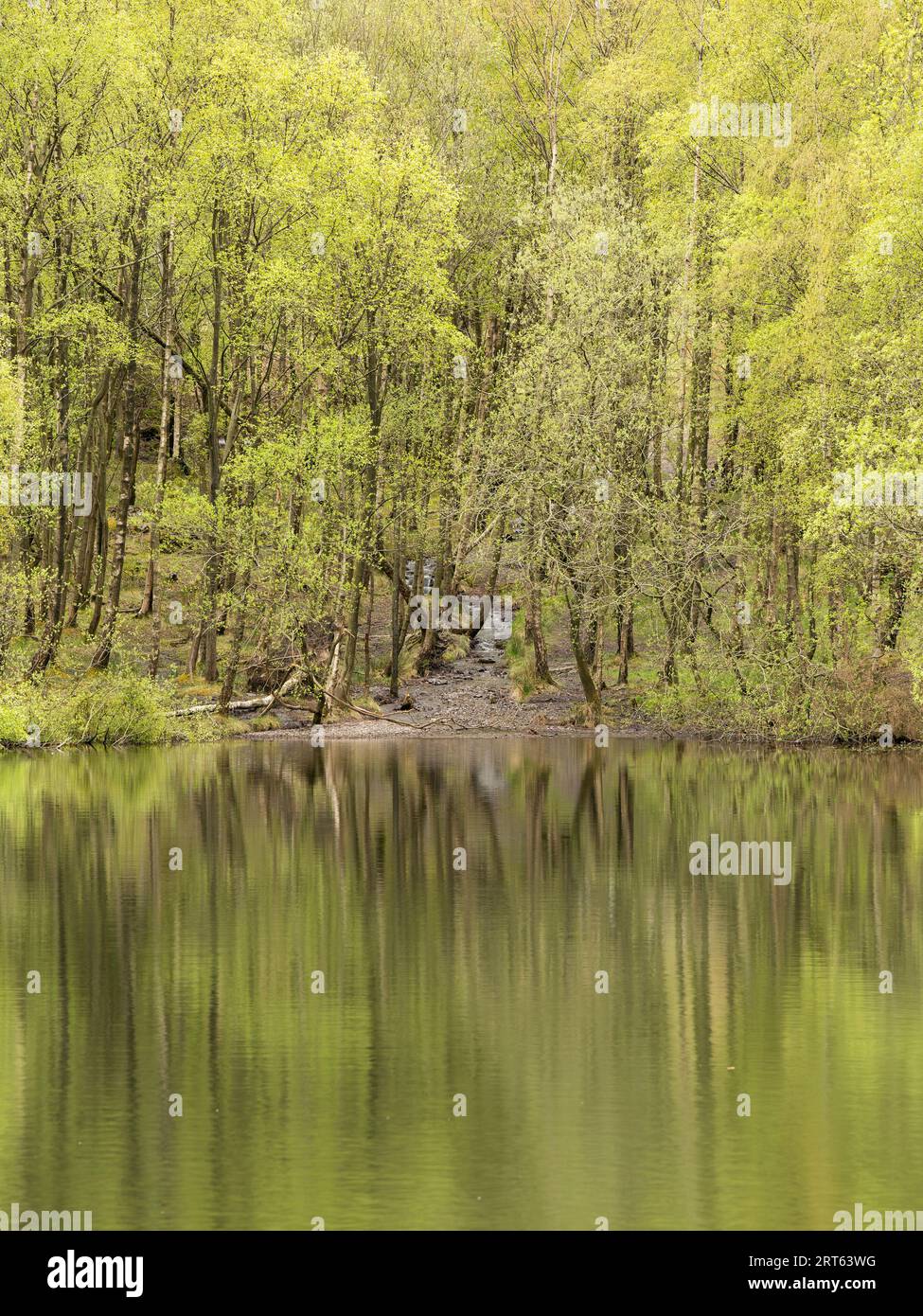 New Pool Hollow, Carding Mill Valley, Church Stretton, Shropshire, Inghilterra. Foto Stock