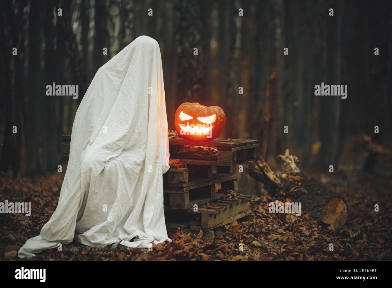 Spettrale fantasma seduto con jack o lanterna luminosa nella foresta autunnale. Persona vestita con lenzuola bianche come fantasma con zucca in legno autunnale Foto Stock
