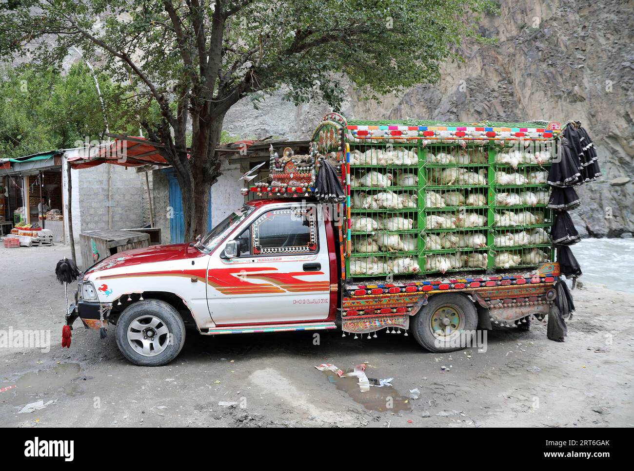 Polli vivi trasportati in Pakistan Foto Stock