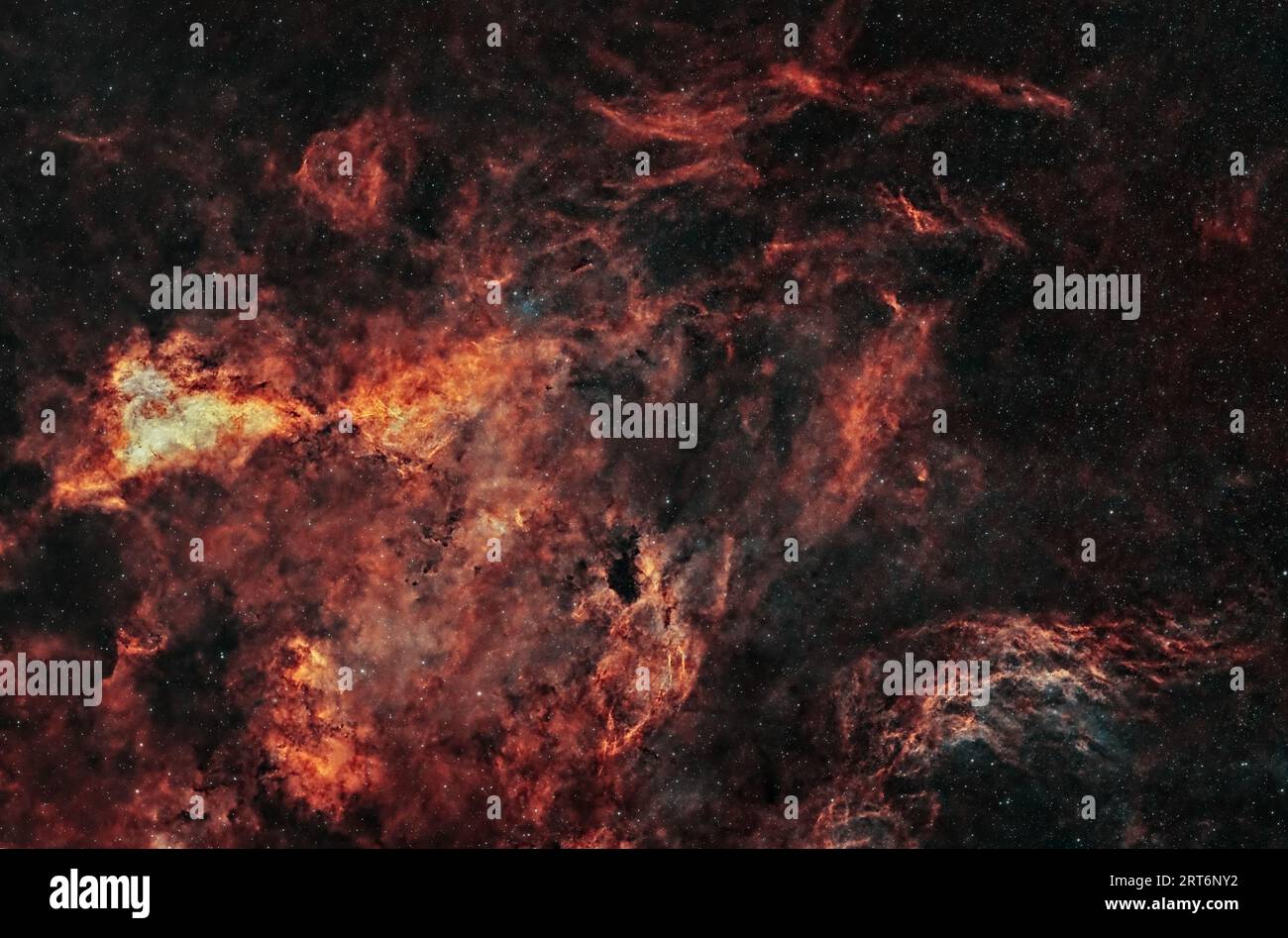 Ammira le Nebulae di Cygnus, un balletto celeste di nuvole di gas e polvere annidato nel cuore della costellazione del Cygnus. Foto Stock