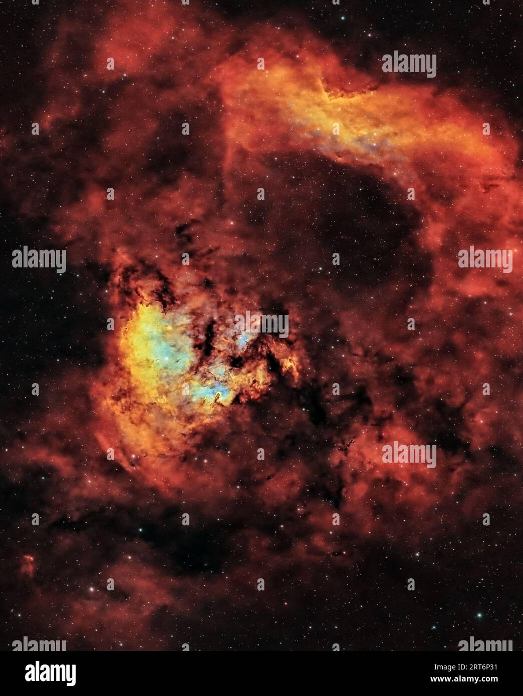 Ammira l'inquietante bellezza della nebulosa del teschio fiammeggiante, annidata nella distesa cosmica di Cefeo. Foto Stock