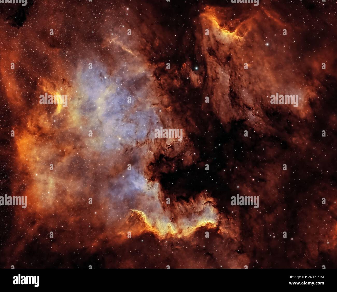 Ammira il Nord America e Pelican Nebulae, un affascinante duo celeste. Queste intricate nubi di gas e polvere, annidate nella costellazione del Cigno. Foto Stock