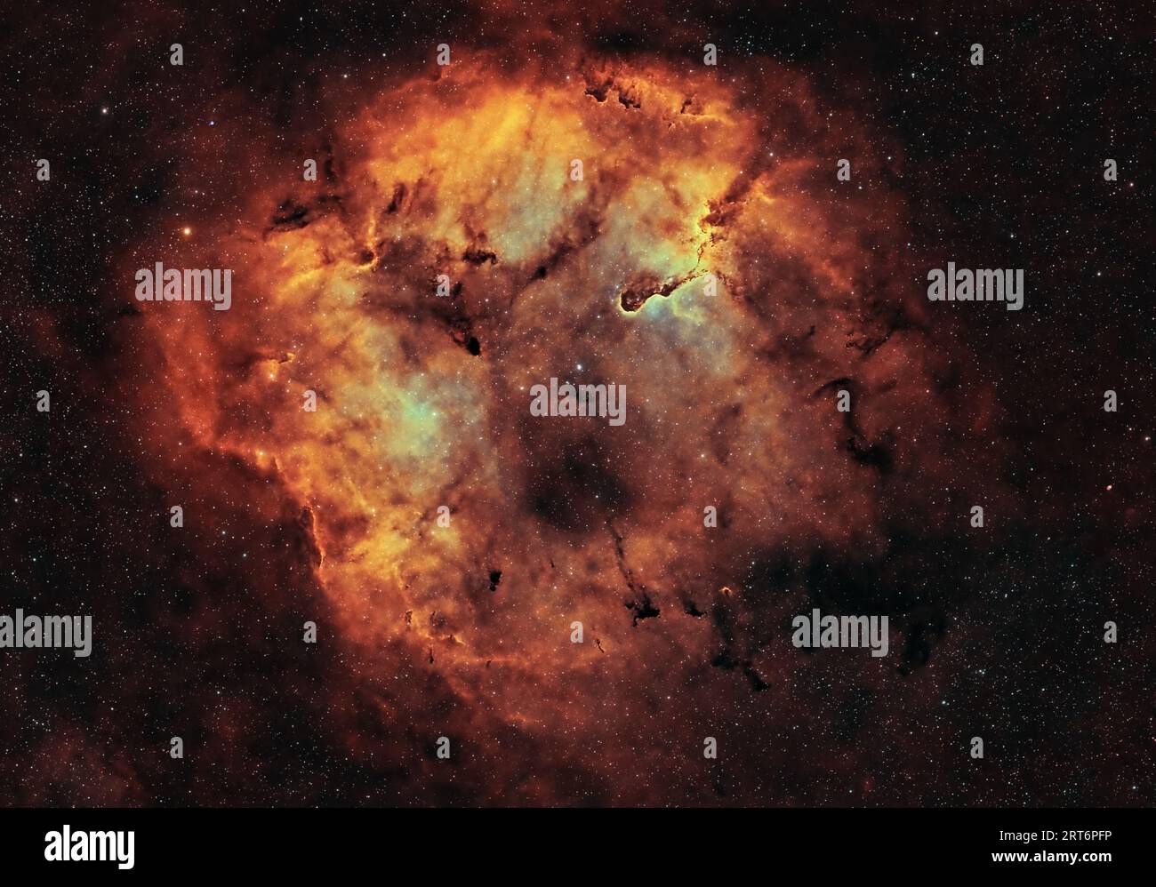 Tracciare la nebulosa cosmica del tronco dell'elefante. Foto Stock