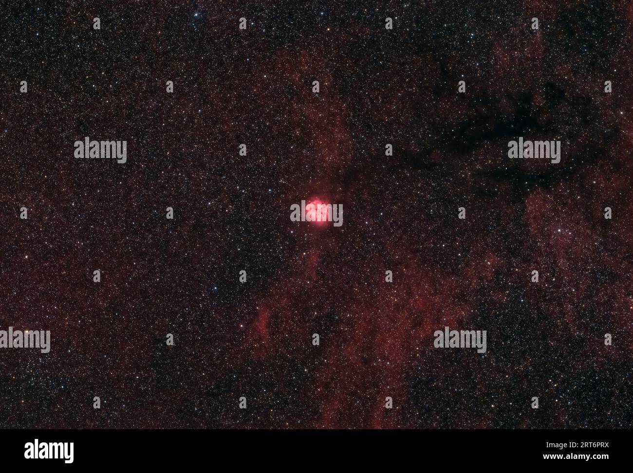 Guarda la culla cosmica delle stelle! 🌌 la nebulosa di Cocoon, nota anche come IC 5146, è una nebulosa ad emissione mozzafiato situata nella costellazione del Cigno. Foto Stock