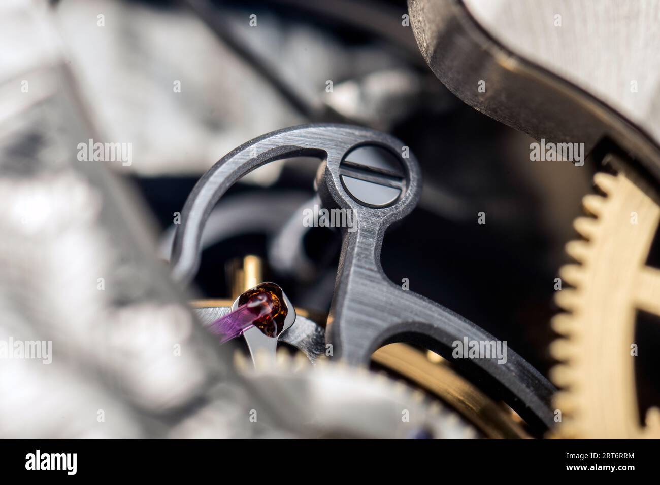 A. Lange & Söhne 1815 Tourbillon Foto Stock