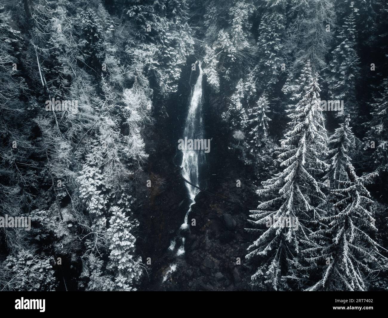 Splendida e potente cascata innevata con pini ghiacciati tutto intorno dall'alto. Cascata di montagna con forte flusso da drone. Paesaggio sh Foto Stock