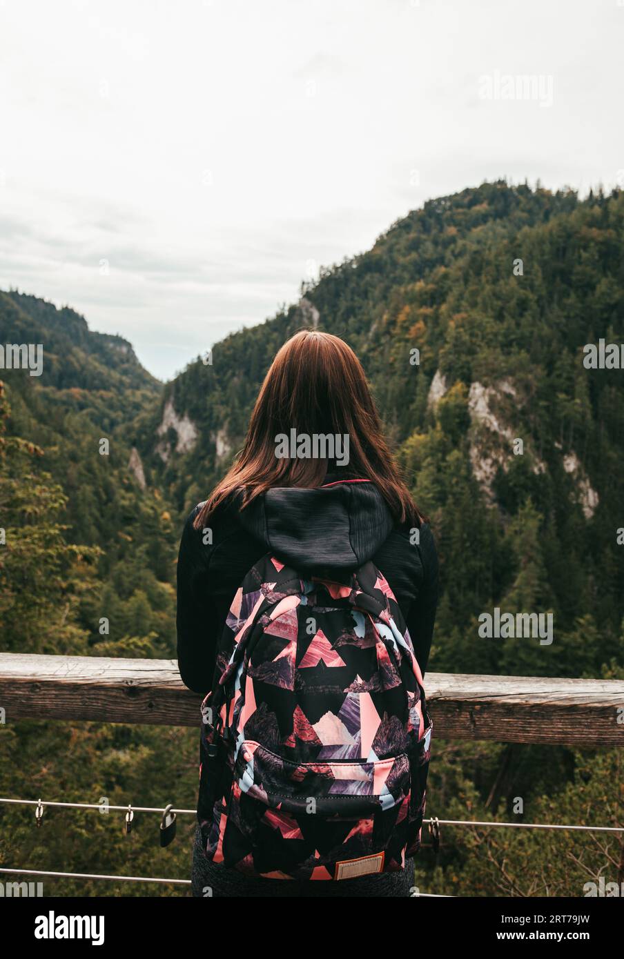Giovane turista con zaino che esita dalla vista sulla montagna e la valle - foto verticale. Foto Stock
