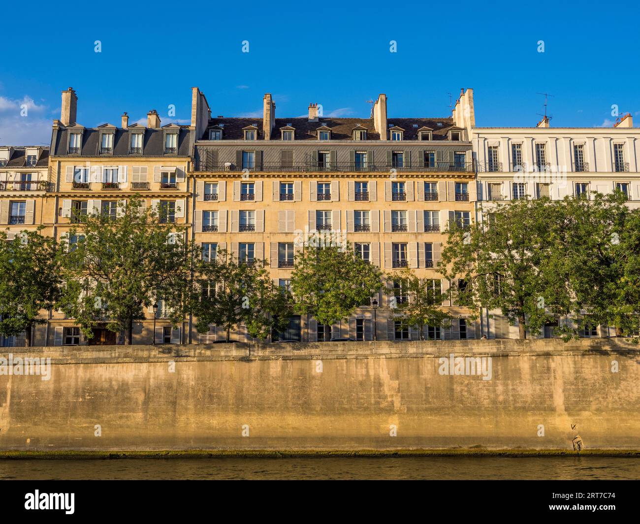 Luce serale, appartamenti e persone che si rilassano sulla riva del fiume Senna, Île Saint-Louis, Parigi, Francia, Europa, UE. Foto Stock