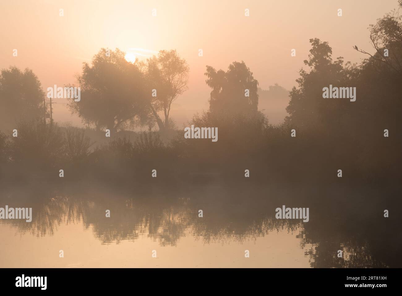 Alba su un lago con alberi avvolti dalla nebbia mattutina Foto Stock