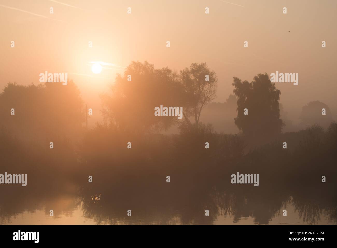 Alba su un lago con alberi avvolti dalla nebbia mattutina Foto Stock