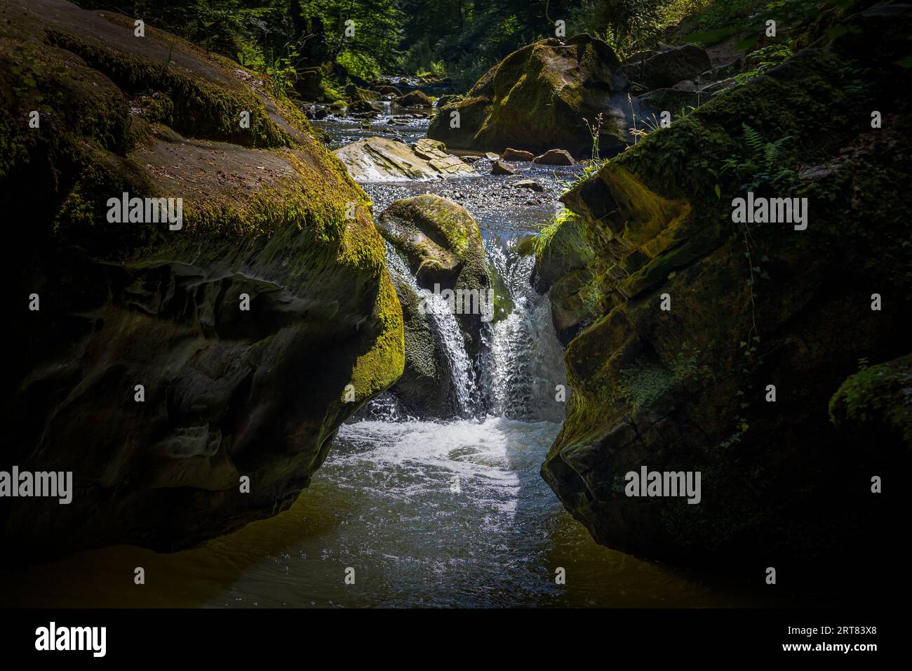 Acqua che cade e una piccola cascata tra le rocce solide nella foresta di Mullerthal, un ambiente da favola in Lussemburgo Foto Stock