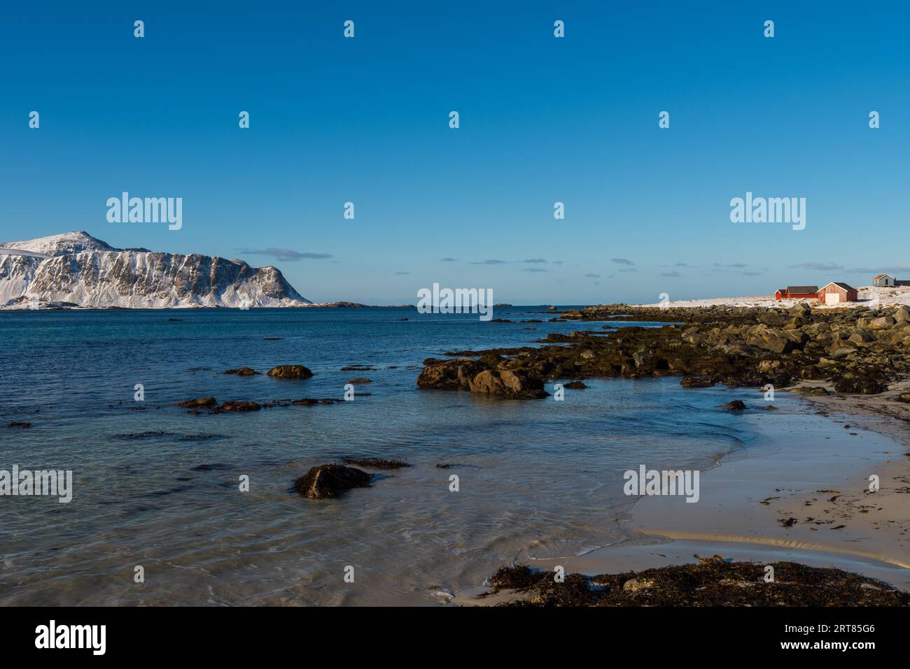 La famosa spiaggia di sabbia dall'aspetto tropicale vicino a Ramberg sulla Lofoten isole in Norvegia in chiaro giorno d'inverno con neve-rivestito montagne e cielo blu Foto Stock