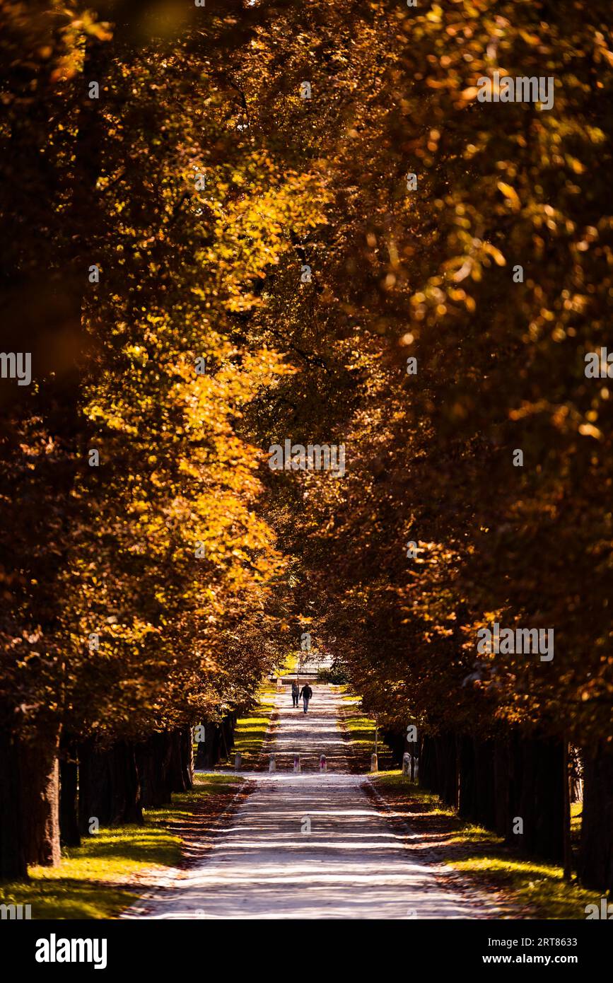 Bellissimo vicolo nel Parco Tivoli a Lubiana in autunno con foglie di colore marrone arancio Foto Stock