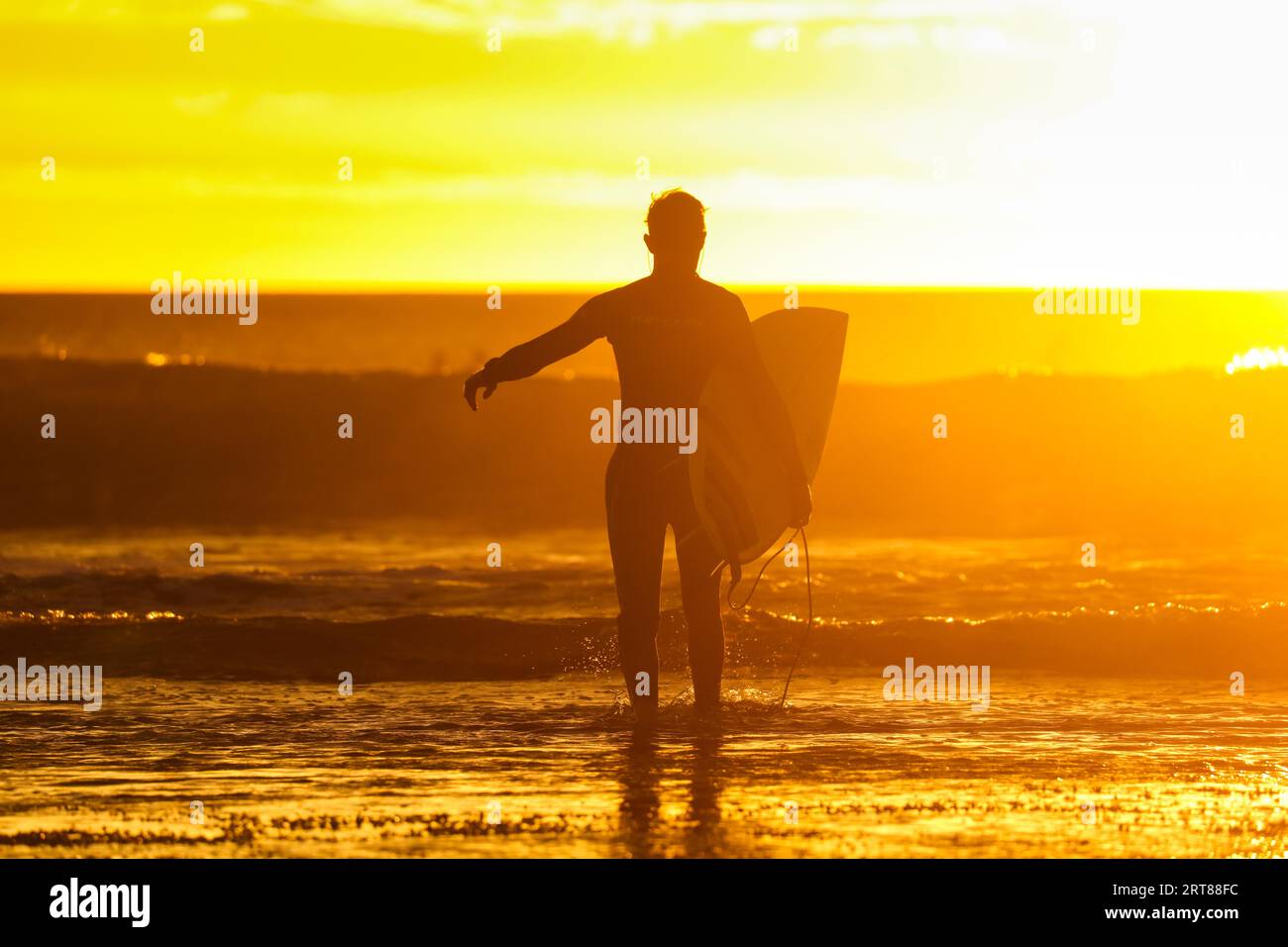 Bells Beach, Australia, gennaio 30 2017: Un surfista si prepara ad entrare in acqua presso l'iconica Bells Beach in una mattina d'estate all'alba vicino Torquay Foto Stock