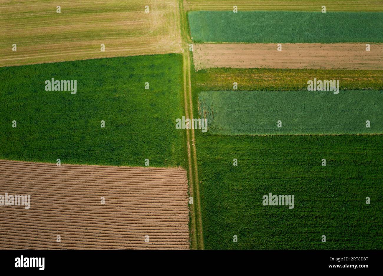 Tiro con droni, percorso prato con campi di grano e campi raccolti, dall'alto, agricoltura, paesaggio agricolo, Oberhofen, Hausruckviertel, superiore Foto Stock