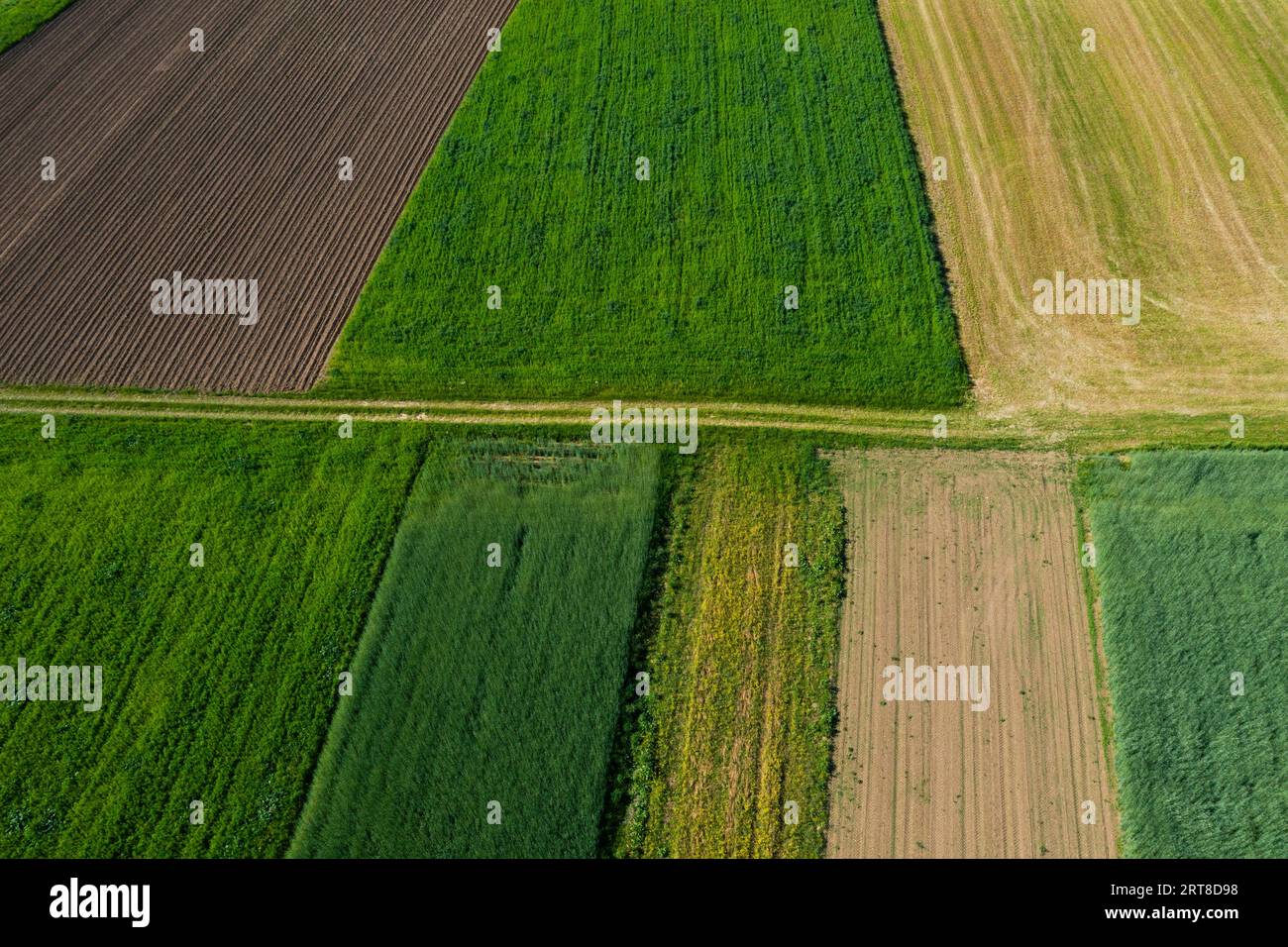 Tiro con droni, percorso prato con campi di grano e campi raccolti, dall'alto, agricoltura, paesaggio agricolo, Oberhofen, Hausruckviertel, superiore Foto Stock