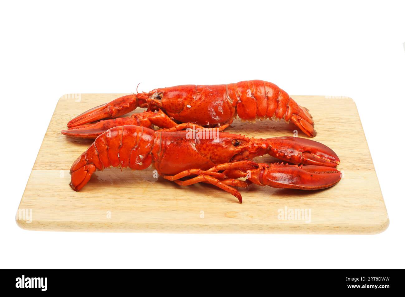 Due aragoste cotte intere su un pannello di legno isolato contro il bianco Foto Stock