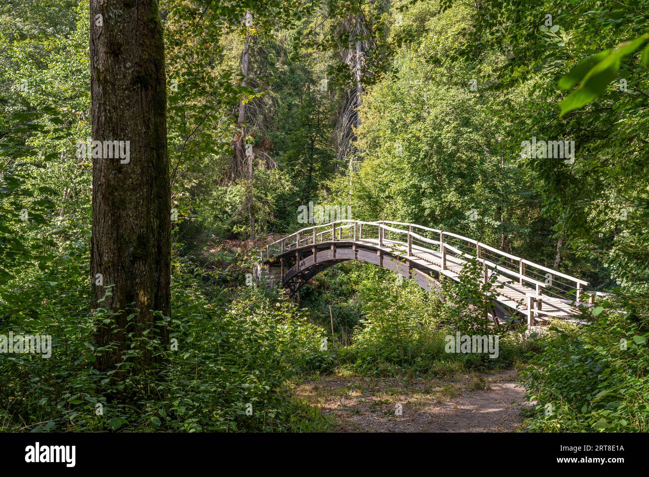 Brücke in der Wutachschlucht, Schwarzwald, Baden-Württemberg, Deutschland | Ponte sulla Gola di Wutach, Foresta Nera, Baden-Württemberg, Germania Foto Stock
