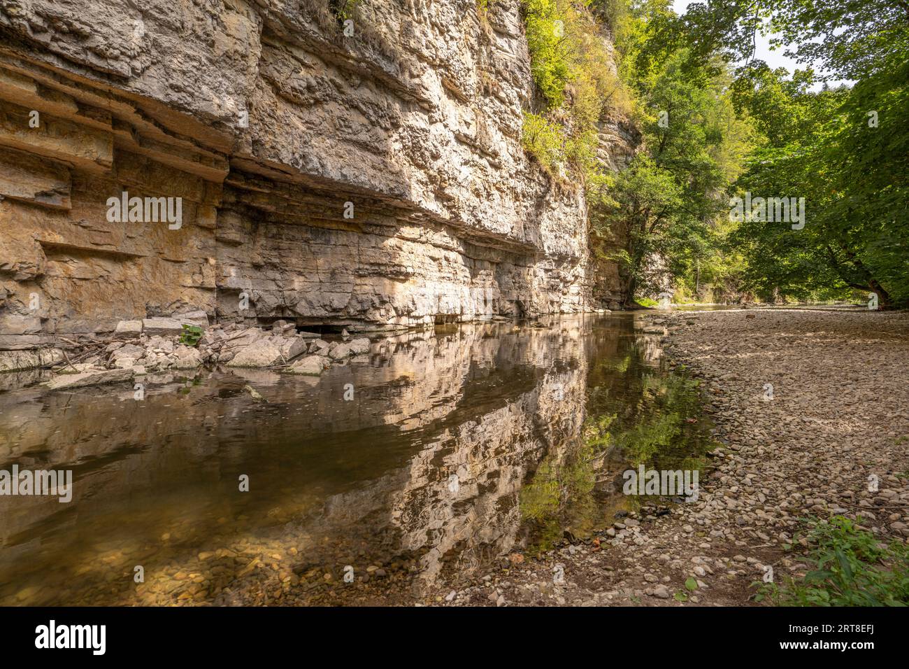 Felswand und der Fluss Wutach in der Wutachschlucht, Schwarzwald, Baden-Württemberg, Deutschland | muro di roccia e fiume Wutach presso la Gola di Wutach, BL Foto Stock