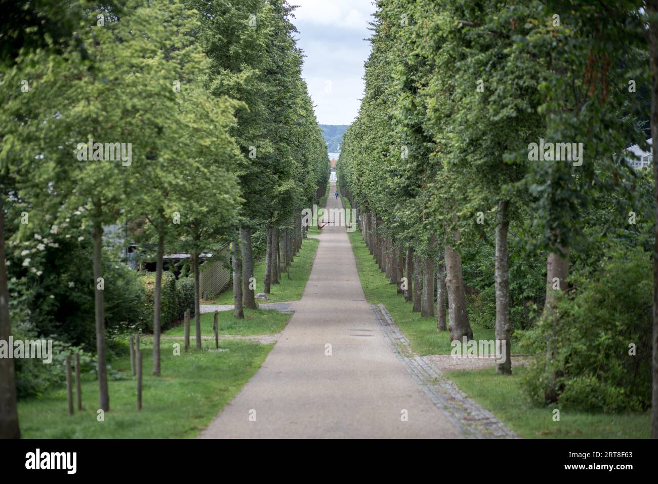 Fredensborg, Danimarca, 2 luglio 2017: Un vicolo di alberi nel parco del Palazzo di Fredensborg Foto Stock