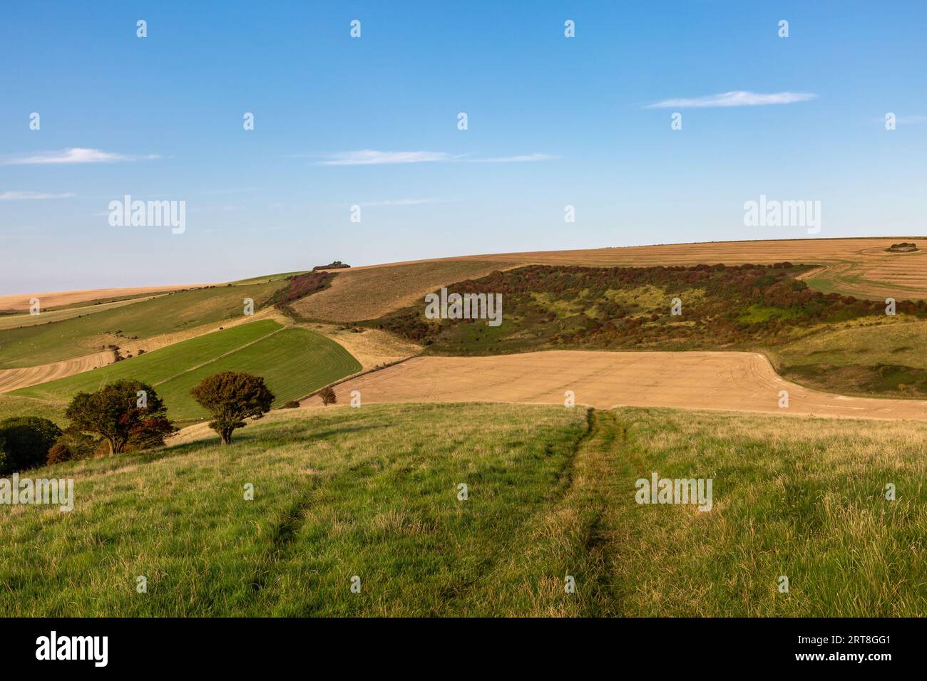 Un paesaggio rurale di South Downs in una soleggiata sera di settembre Foto Stock