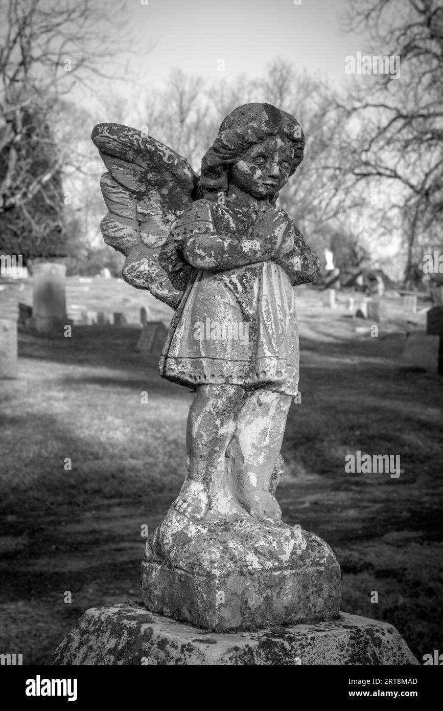 MT. Moriah Cemetery a Philadelphia Foto Stock