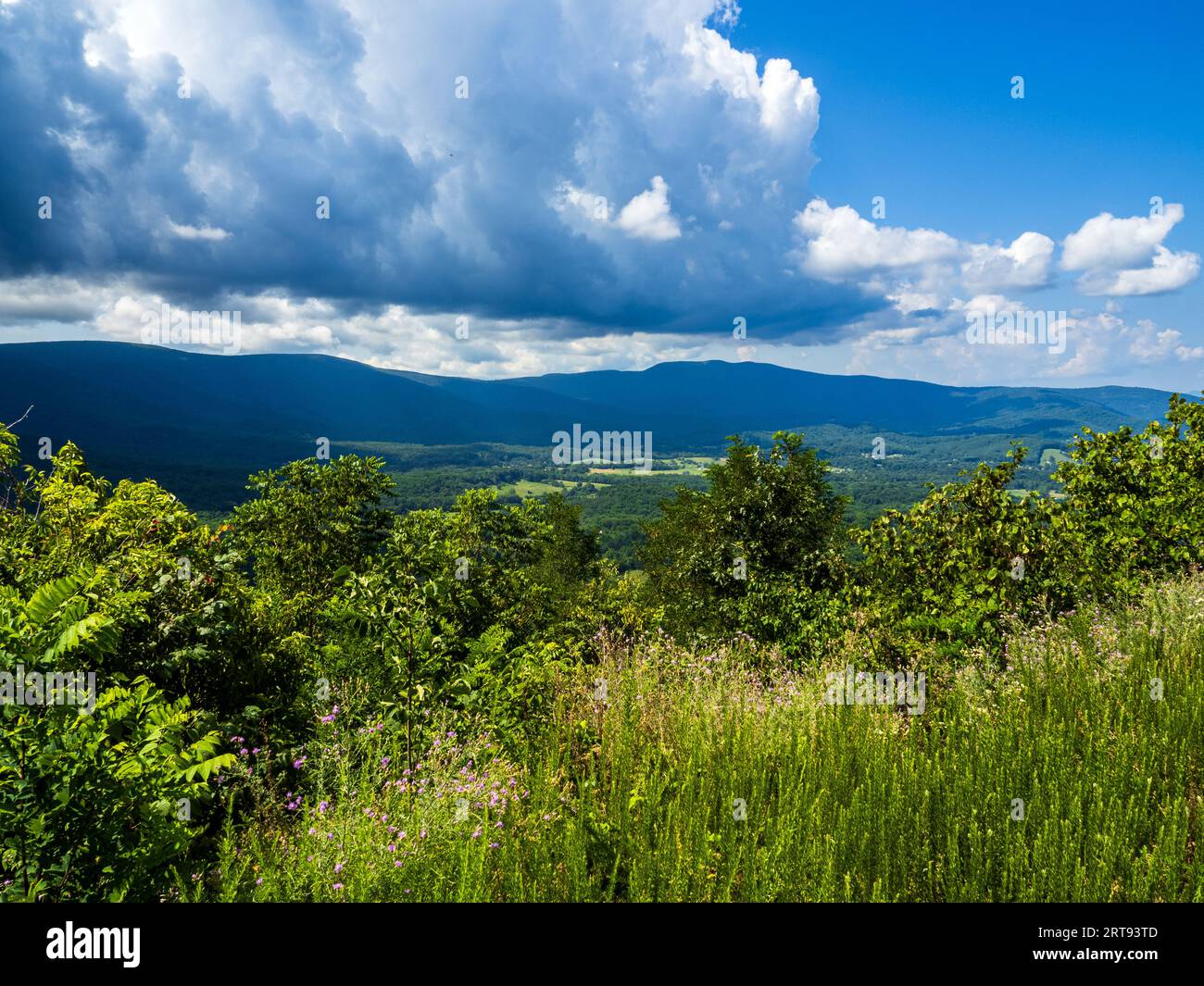Vista della valle di Shenandoah dal parco nazionale di Shenandoah, Virginia, USA, con l'avvicinarsi delle nuvole spettacolari. Foto Stock