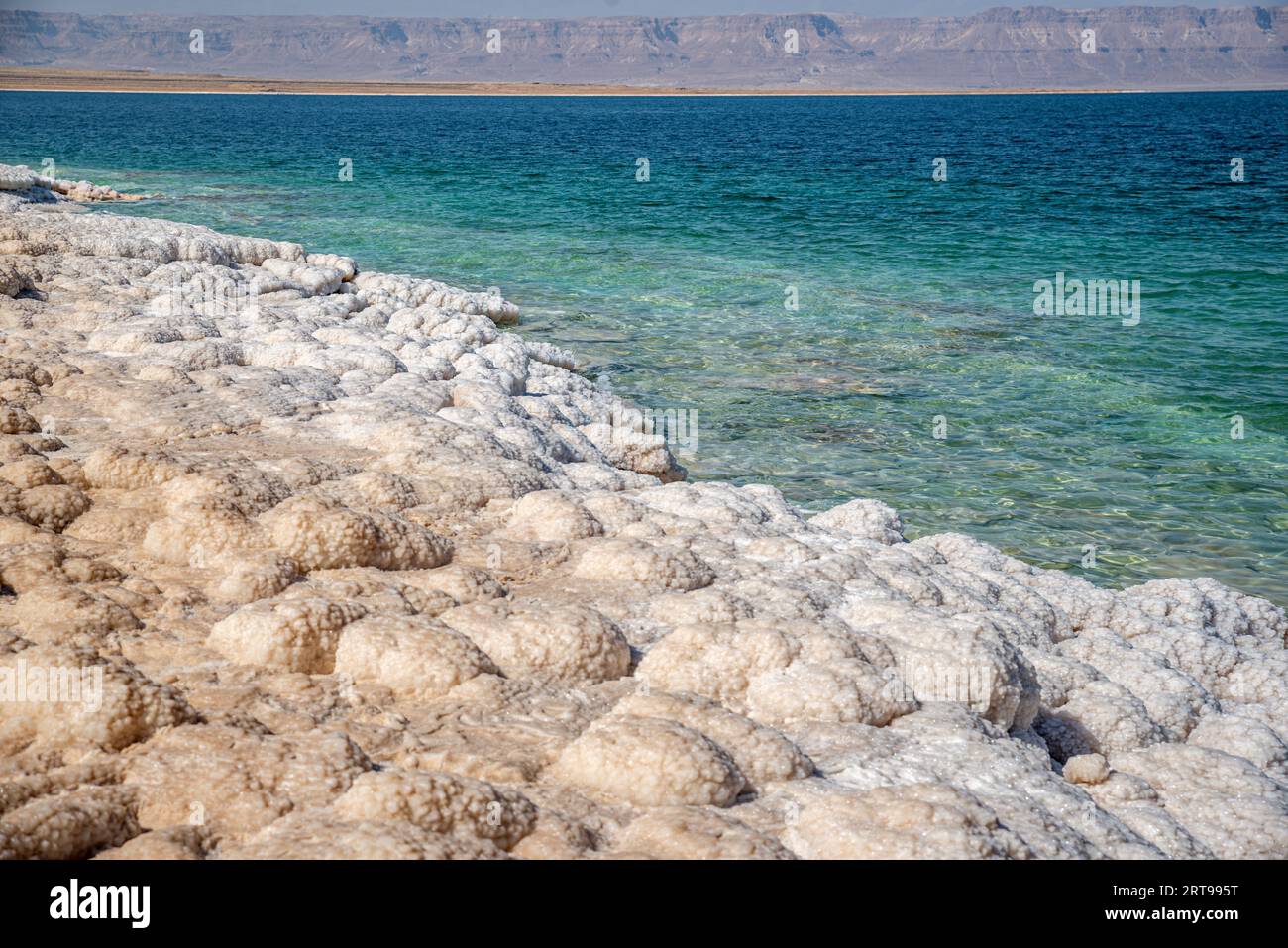 Rive salate del Mar morto, Giordania Foto Stock