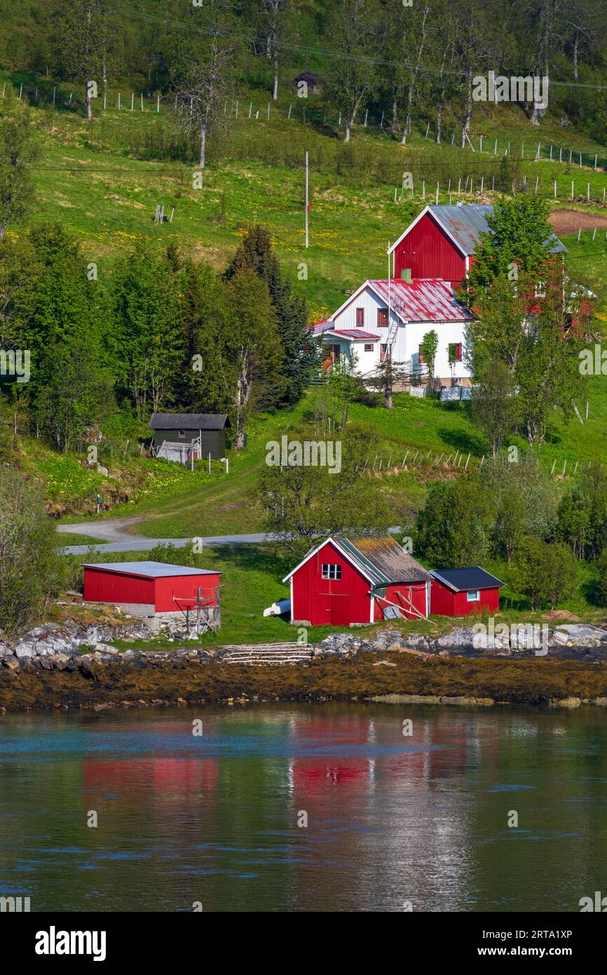 Fattoria, isola di Kvaloya, Tromso, Norvegia Foto Stock
