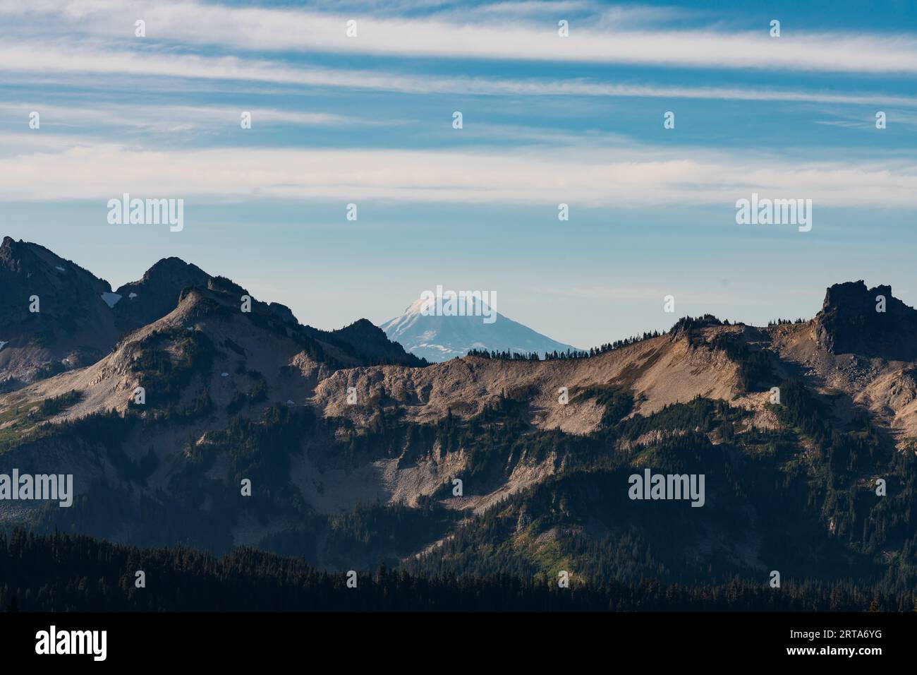 Mount Adams, visto sullo Skyline Trail Loop del Mount Rainier National Park Foto Stock