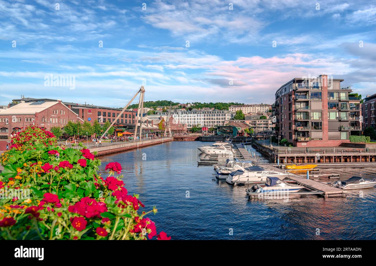 I magazzini del centro cittadino e gli edifici moderni vicino al fiume Nidelva a Trondheim, Norvegia. L'area ricreativa TMV-Kaia è sullo sfondo. Foto Stock